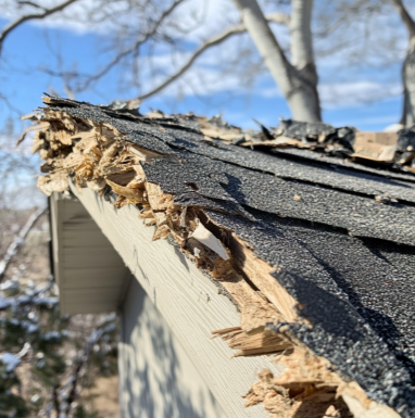 storm damage south weber