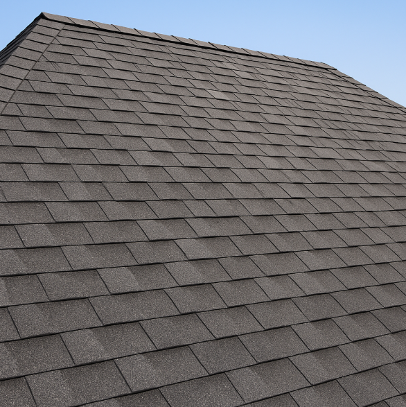 cause you can get a roof like this