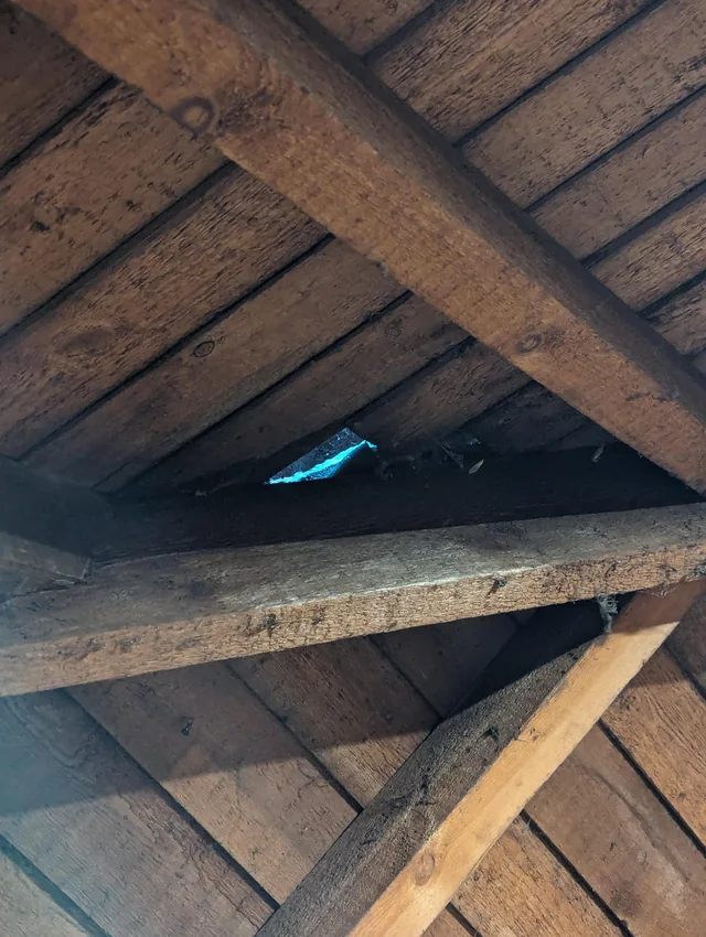 light in the attic.