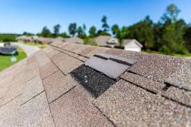 look at that shingle