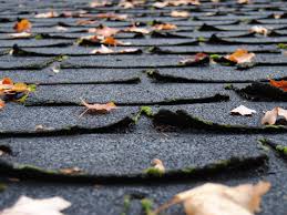 mossy shingles